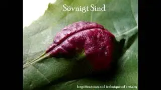 Sövnigt Sind - Forgotten Tunes and Techniques of Ecstacy (2009)