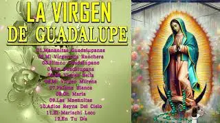 La Virgen De Guadalupe 2024✨Cántos a la virgen de Guadalup🎶mañanita a la virgen de guadalupe