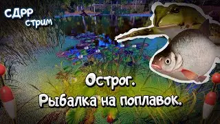 Рыбалка на Остроге поплавком. ( Русская рыбалка 4 )
