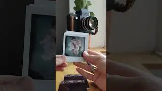 7 попыток 📷  