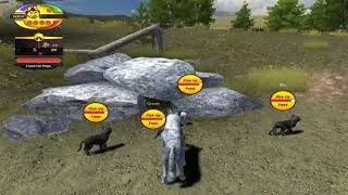 Wolf Quest #3:Растим щенков.
