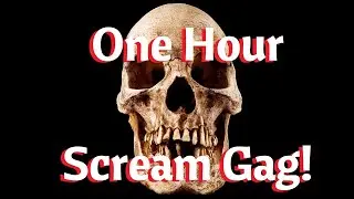Scream Gag 1 hr silence, then SCREAMS!