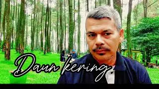 Daun kering