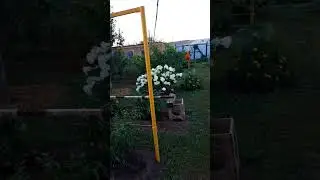 когда ты живёшь в частном доме 😂Подъём в 5,отбой как получится)))
