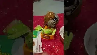 Mango Bars for maddog #ASMR #satisfying sounds #viral dog #shorts (2)