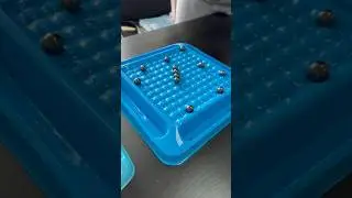 Оригинал wb 224461300