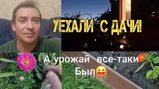 Уехали  с Дачи,, А урожай  все-таки  Был!🤣👌