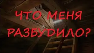 ЧТО РАЗБУДИЛО МЕНЯ?