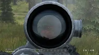Олень он и против медведя олень DayZ