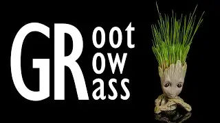 Groot growing grass - time lapse [4K]