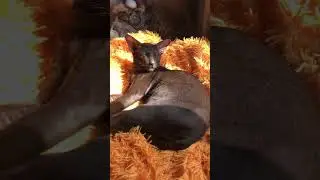 ❤️Марсель❤️
