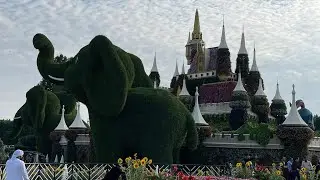 5 ноября 2023 г.