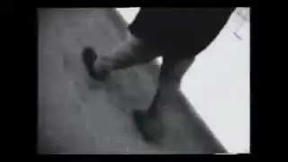Полковник мычит-Зелёный слоник 1ч