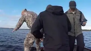 Рыбалка на Волге 2017