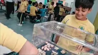 JIS Middle School Science Fair