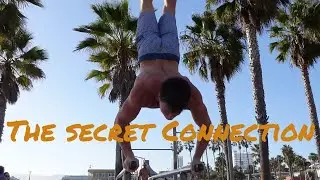 Unlock the Secret Connection: Studying & Training!