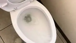 Medical Plaza G University Unisex Restroom Heartland Lamar