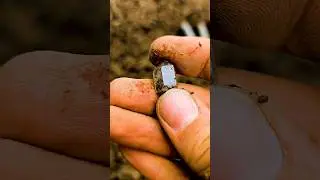 Beautiful Herkimer Diamonds 💎  found in the Dirt!