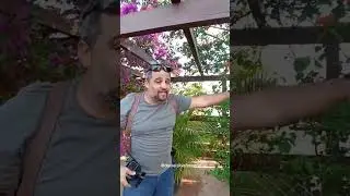 Nossos Ensaios Maravilhosos