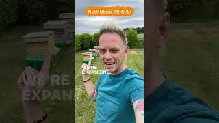 New bees alert! 🚨🐝🚨🐝🚨 