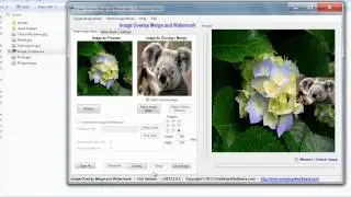 How to add / overlay an image on another