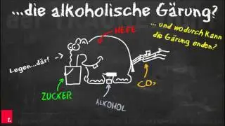 TRAUNERfunT