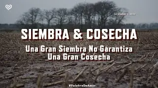 SIEMBRA & COSECHA