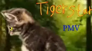Коти Вояки Тигрозір (ч.о.)   Warrior cats Tigerstar PMV