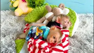 2 Brother Monkey Girl
