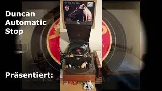 (1929) Almenhirtenspiel - Zither Banjo Solo