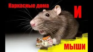 Мыши едят каркасные дома. Только факты о недостатках каркасных домов.