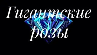 Алмазная вышивка. Гигантские розы. Посылка с AliExpress.