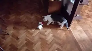 Ciro I Bobi