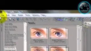 how to add the green screen effect in vegas pro 10