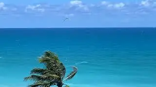 Juipter FL Kiteboarding