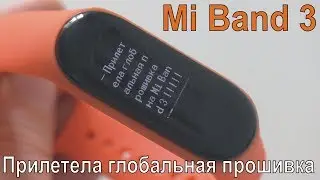 A global firmware arrived on Mi Band 3 !!!