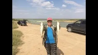 Ловля судака, щуки, окуня и даже леща на джиг !