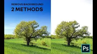 REMOVE TREES BACKGROUND IN PHOTOSHOP