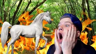 Riders of Icarus | Training Unicorns?!?!