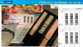 Системы управления базами данных в горном деле. Михаил Столяров, Micromine