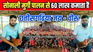 सोनाली मुर्गी पालन से 60 लाख कमाता है छत्तीसगढ़िया जय-वीरु।। 