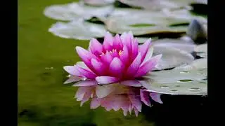 Guided Miracle Meditation , meditation for miracles , 5 min guided meditation