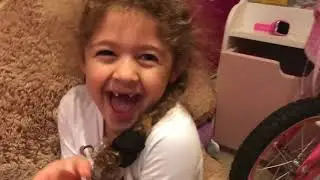 PLAYING BOWLING 🎳 FUN CHALLENGE AT HOME