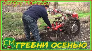 Гребни осенью для посадки картофеля весной. Combs in autumn for planting potatoes in spring.