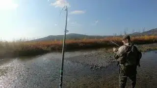 Отличный клев ленка и хариуса на одной из таежных рек Эвенкии!!!