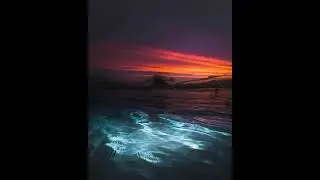 [FREE DOWNLOAD] Playboi Carti x Pierre Bourne  x Baby Santana Sample Pack /Loopkit 
