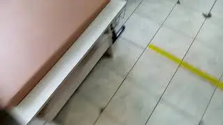 что окрашено