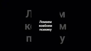 клвби вы где