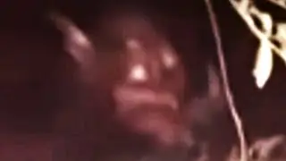 TIs No Surprise Beasts Among Us Azrael Fights Satan