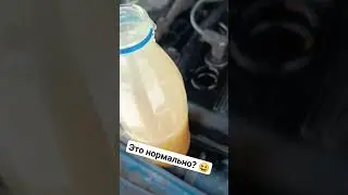 можно заводить двигатель с таким маслом? -31